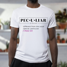 Load image into Gallery viewer, Peculiar Definition -Unisex T-Shirt (White, Gray)

