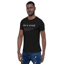 Load image into Gallery viewer, Peculiar Definition - Unisex T-Shirt
